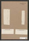 Navicula stuxbergii var. amphiglottis Grun. (de-Toni-Nr.: Genus 1, Species 386) Zeichnungen Sammlung Grunow Nr. 868 (NHMW-BOT-W0367315)
